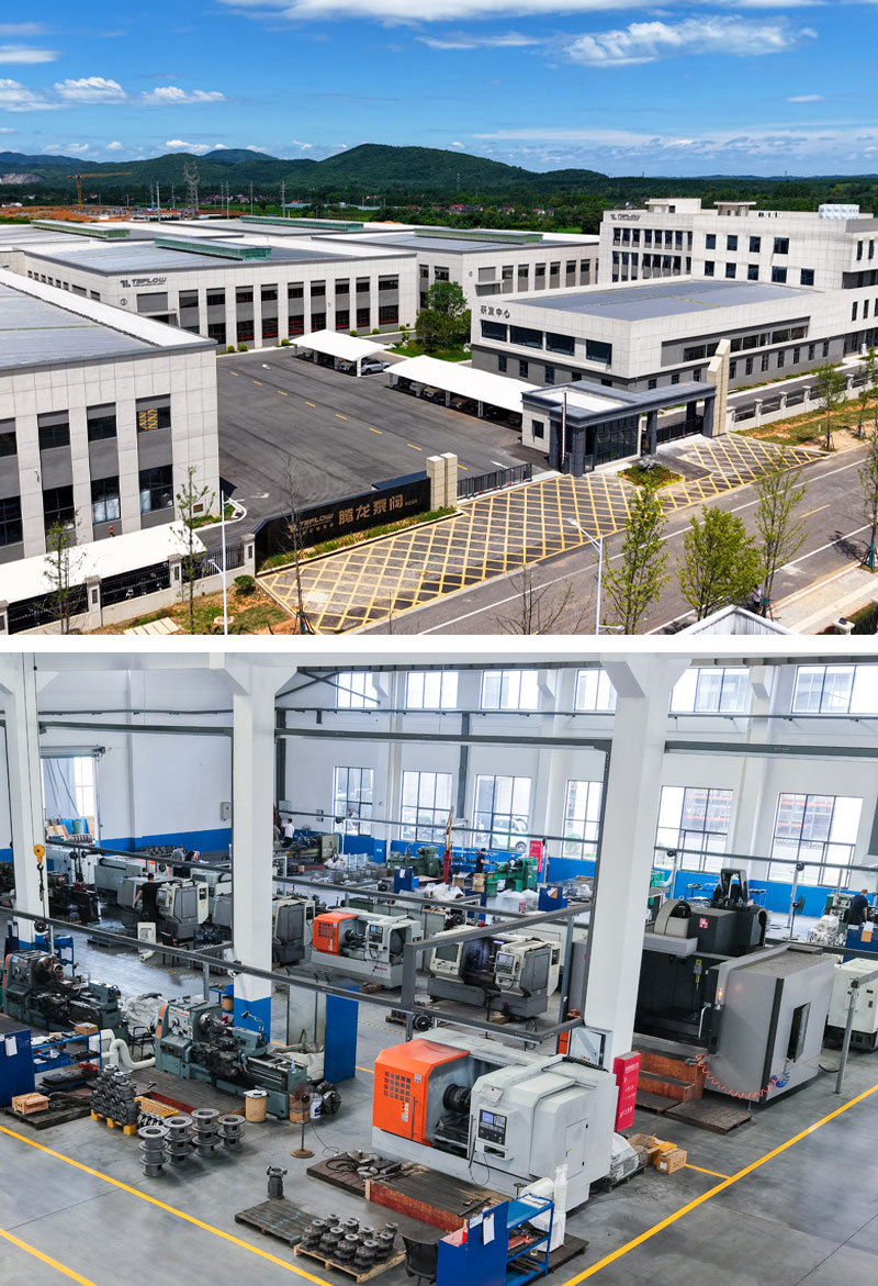 özel manyetik tahrik pompaları uzmanları - tenglong pompa ve vana